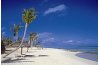 Mauritius Beach