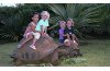 Mauritius Fun